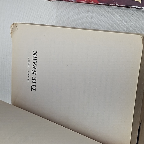 The Last Dragon Series, Chris D'Lacey Fire Series Book 1,3,5 and 7 - Picture 12 of 15